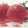 Monopole Декор 10х30 Fresh Fresas (клубника)